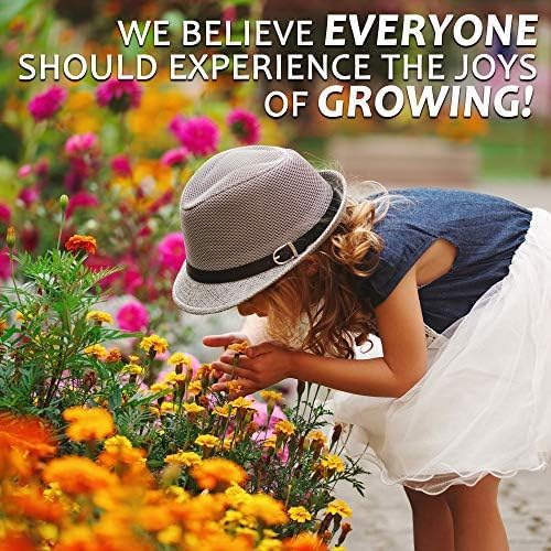 Northeastern Wildflower Seeds Bulk β 1 lb, 640,000+ Seeds β Annual & Perennial Wildflower Mix with Native Northeast Flowers β Regional Pollinator Flower Seed for Garden & Meadow