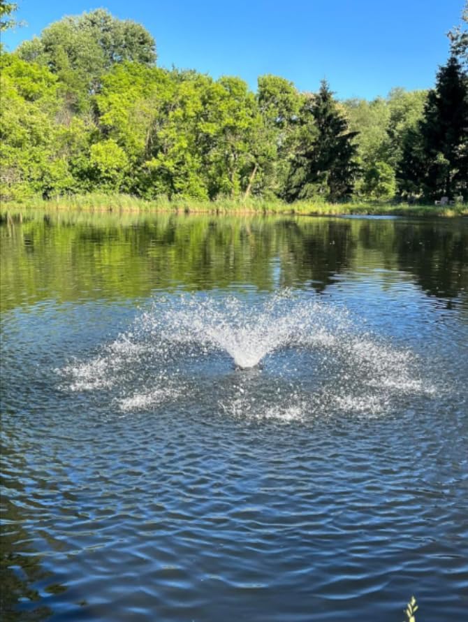 RGB LED Pond Fountain Aerator 750W with Color-Changing Light Show, 1HP 15000 GPH Floating Aerating Pump, 100ft Power Cord, Wireless and Time Control, Perfect for Ponds & Lakes (NO-RGB)