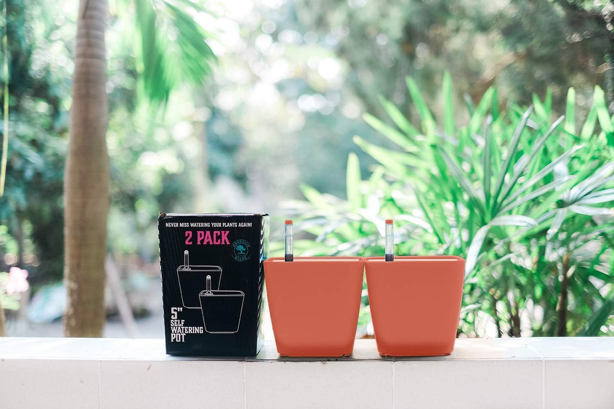 GARDENIX DECOR 5" Self Watering pots for Indoor Plants - Flower Pot with Water Level Indicator for Plants, Grow Tracking Tool - Self Watering Planter Plant Pot – 2 Pack Terracota