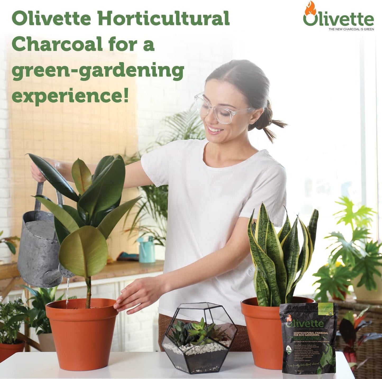 Olivette Horticultural Biochar Activated Charcoal for Plants, USDA Organic Moisture Control for Terrarium Trees & Potted Plants, Eco-Conscious, 3 Bags