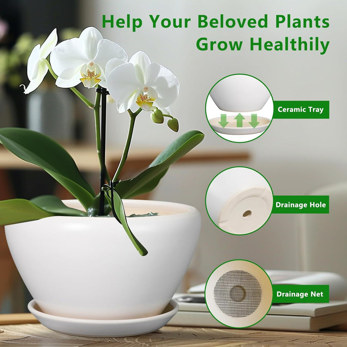 Planter for Indoor Plants 13 Inch - Ceramic Plant Pot with Drainage Hole and Saucer Decorative Round Large Planter Pot for Plants Outdoor Flower Pot for Room Decor White