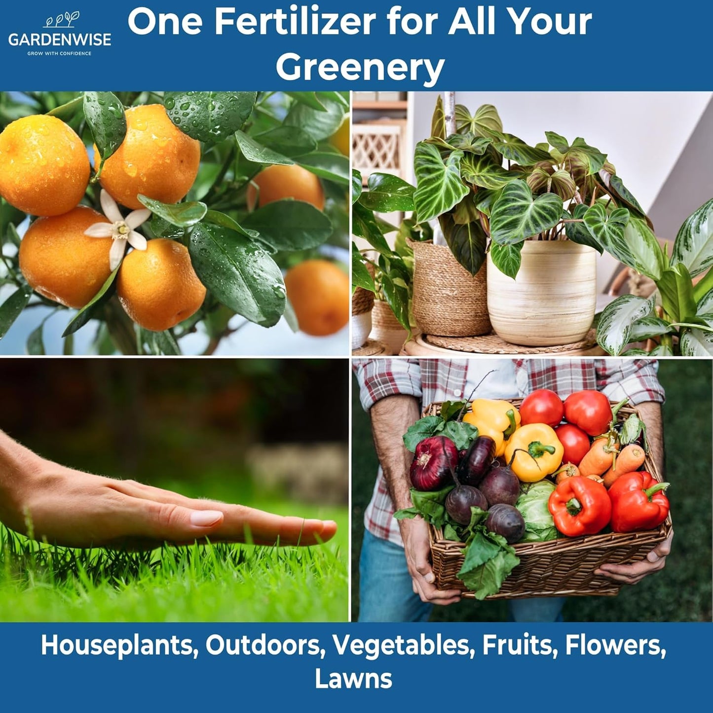 20-20-20 Water-Soluble Fertilizer ā Powder for Liquid Plant Food for Indoor & Outdoor Plants, Orchids, Vegetables, Lawns, Flowers ā 20 20 20 Fertilizer 3 Quarts (6 lbs)