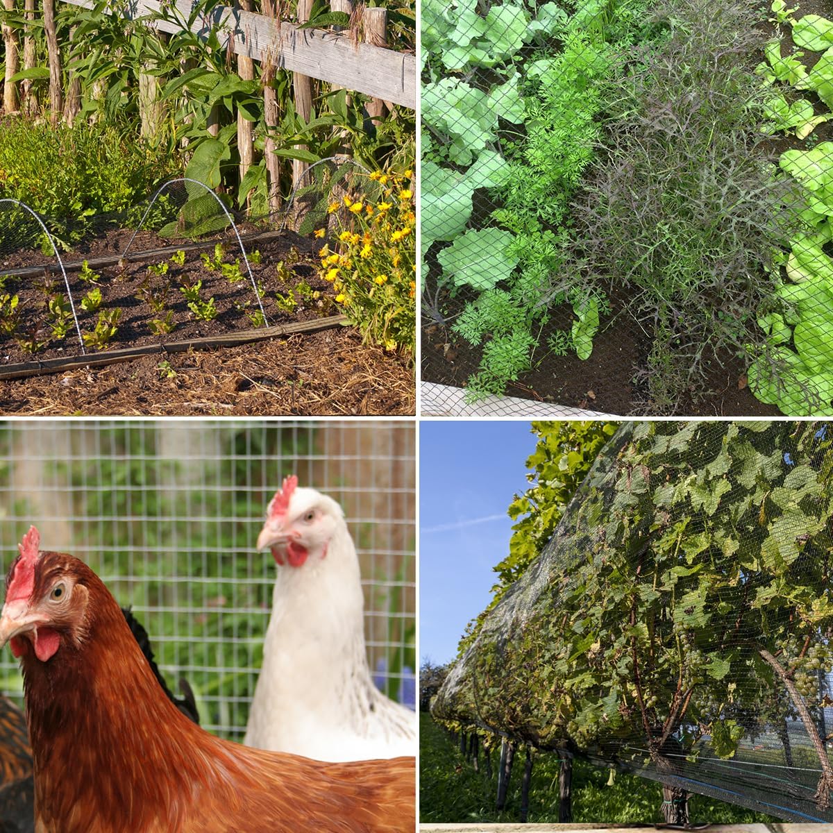 Bird Netting,7.5 x 100 FT Garden Netting Bird Net for Chicken Coop, Poultry Netting Fence for Fruit Trees, Plants and Vegetables Against Birds, Deer, Squirrels and Other Animals