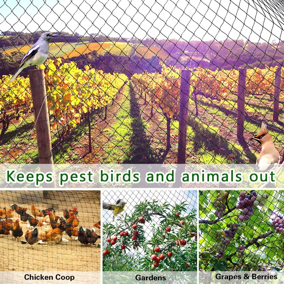 OGORI 50' x 50' Bird Netting Heavy Duty Nylon 3/4" Mesh Garden Netting Protect Fruit Trees, Plants and Vegetables
