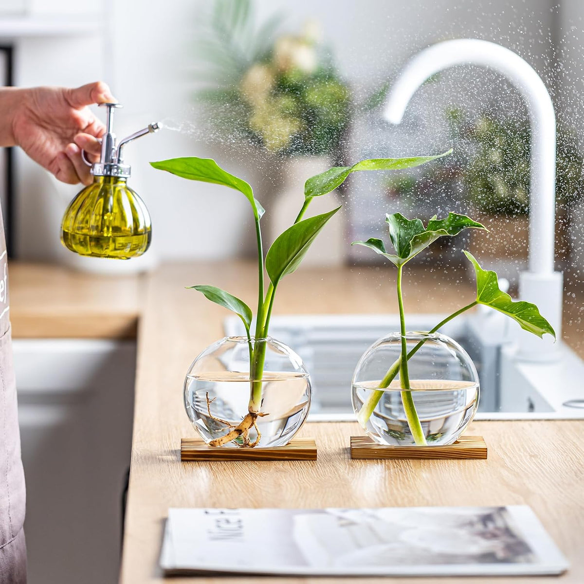 Glass Planter Propagation Station with Wooden Base - Clear Oblate Hydroponic Vase, Decorative Desktop Flower Vase for Home, Office, Windowsill - Gift for Plant Lovers (2)