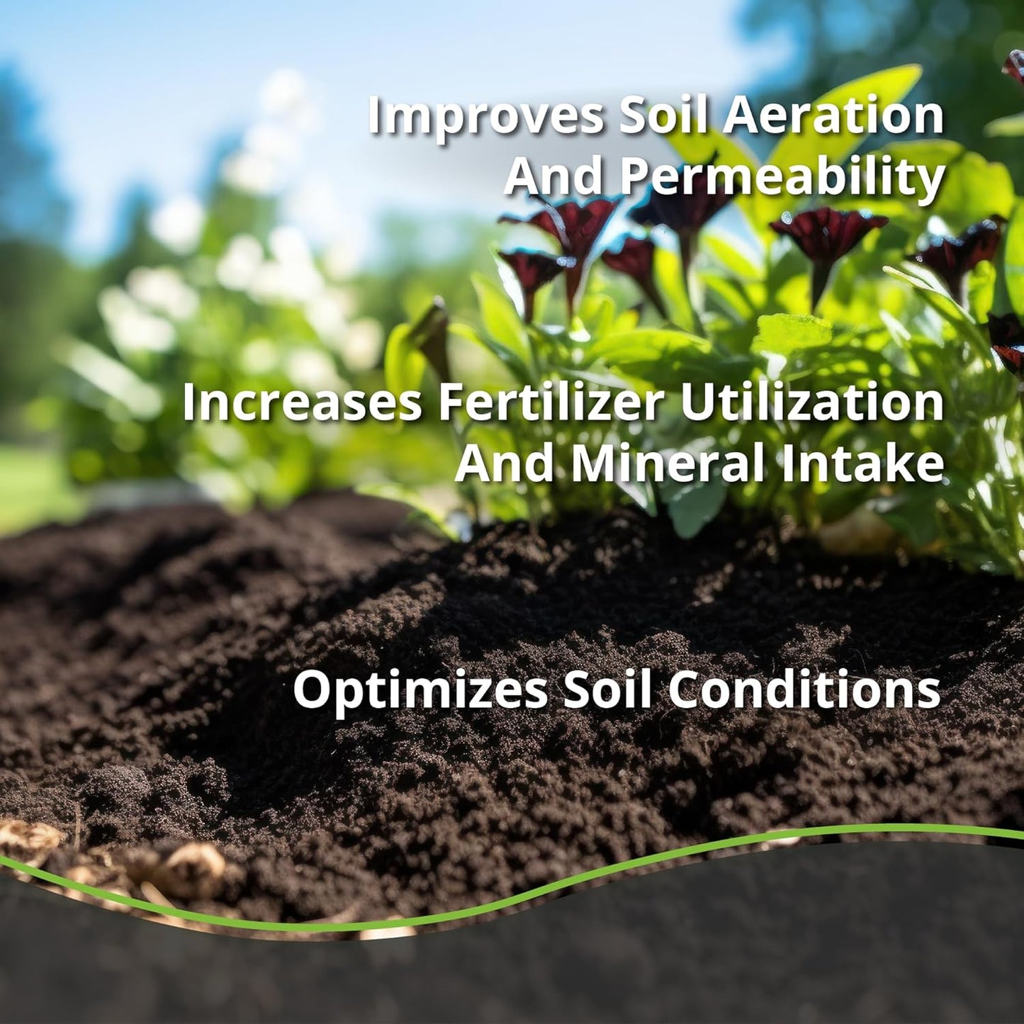 Worm Bliss (1 Qt) + Char Bliss (1 Qt) - Organic Worm Castings for Plants & Organic Biochar for Plants - Earthworm Castings Organic Fertilizer - Biochar Soil Amendment - Charcoal for Plants