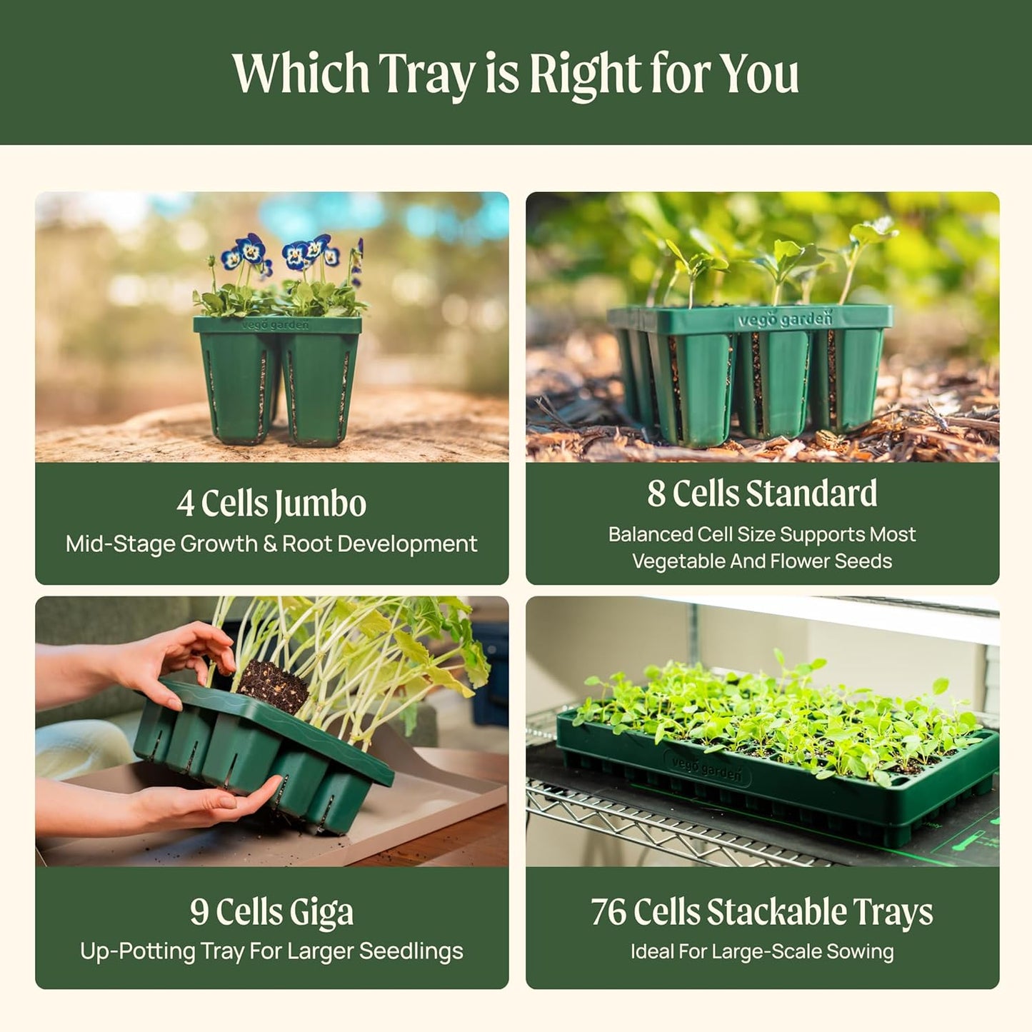 Vego garden Standard Seedling Trays Without Lids, 32 Pack for Seedlings Reusable Propagator Growing Starter Tray, Germination Trays Kit for Greenhouse/Garden (8-Cell per Tray)
