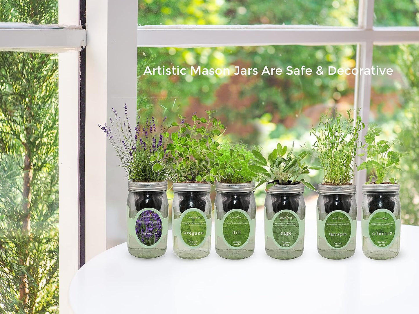 Hydroponic Herb Growing Kit, Self-Watering Mason Jar Window Herb Garden Starter Kit Indoor, Grow Your Own Herbs from Organic Seeds (Cilantro)