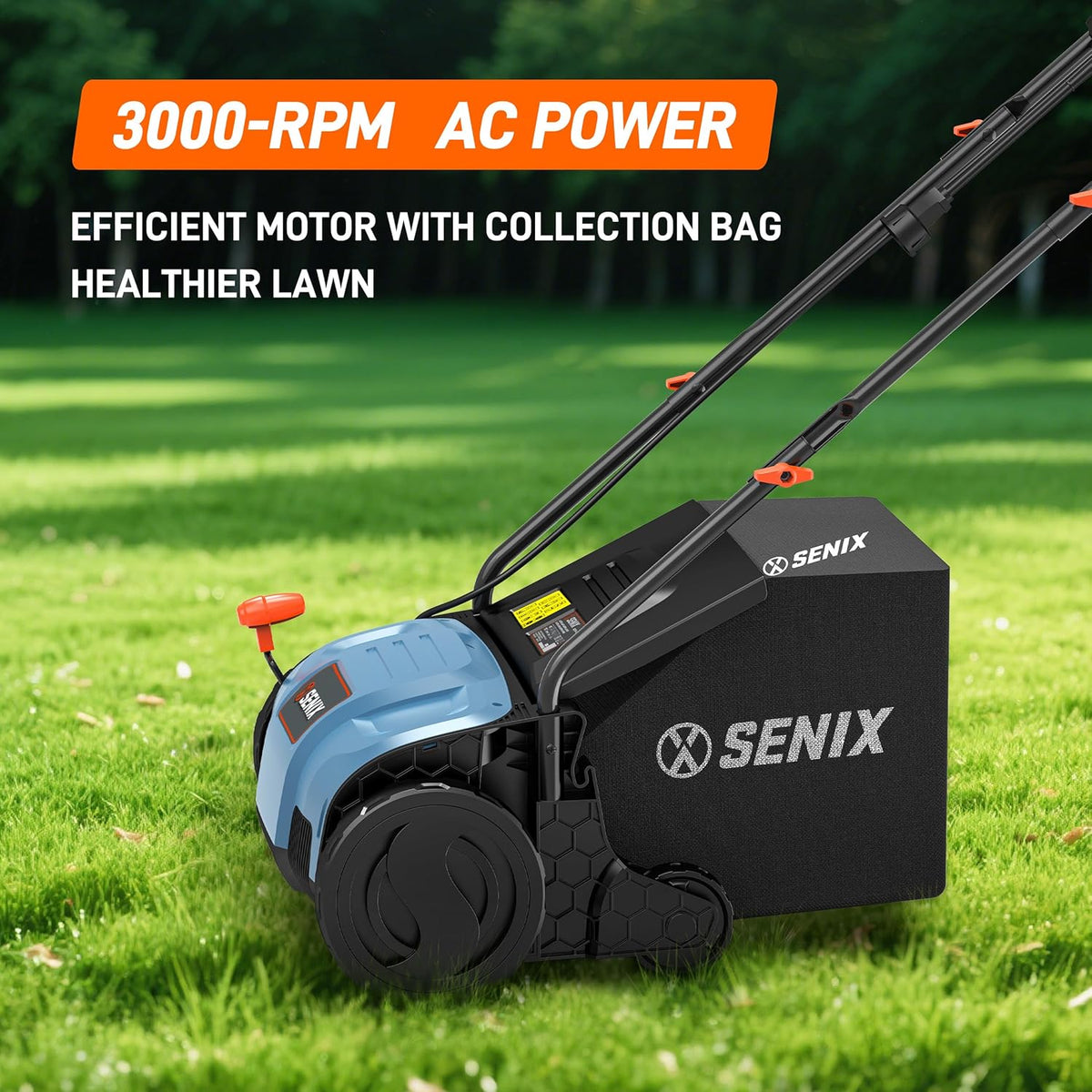 SENIX 12 Amp 13-Inch Corded Electric Dethatcher and Scarifier with Collection Bag,Lawn Care Equipment for Removing Thatch and Improving Yard Growth,Garden Tool Gifts(SCE12-L1)