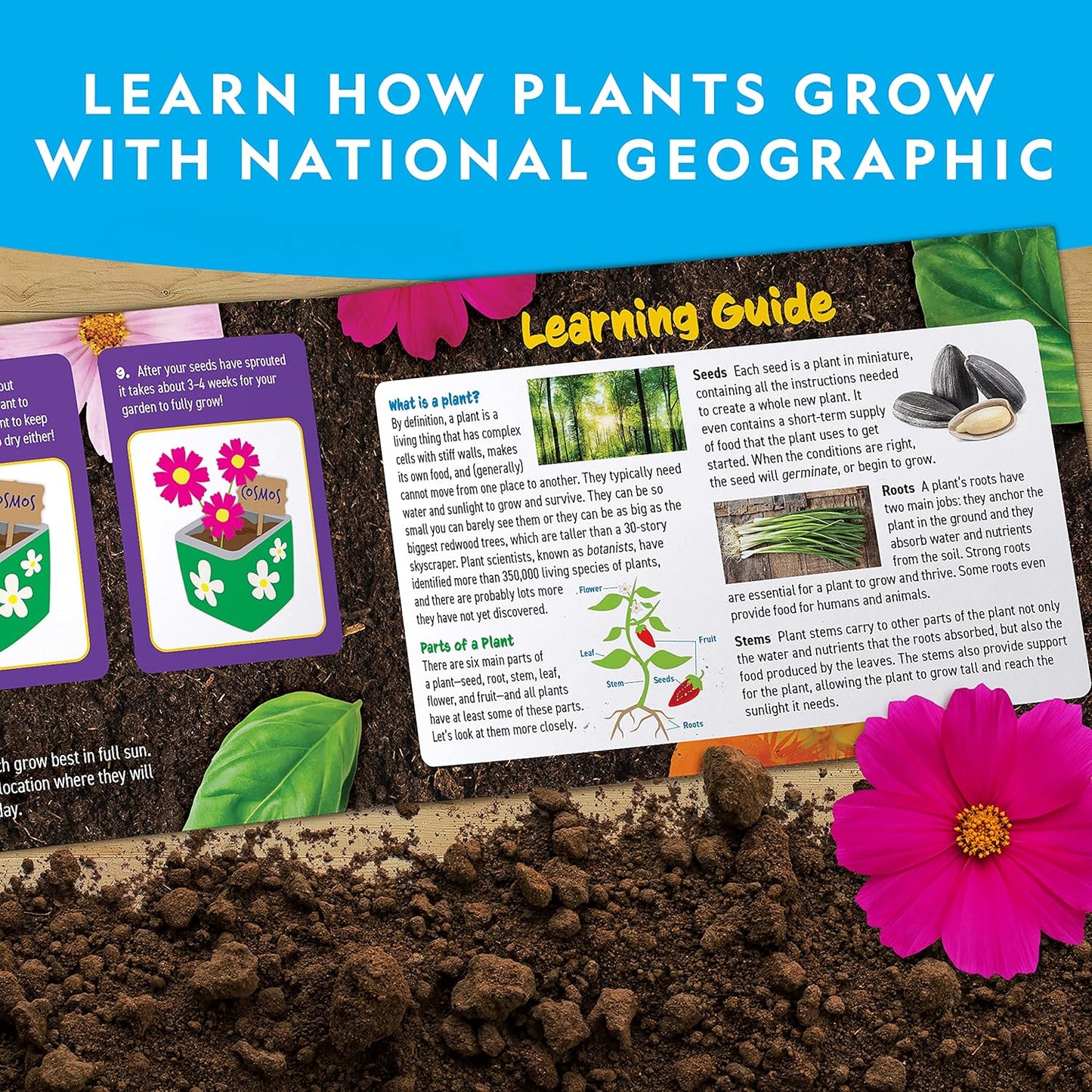 National Geographic Flower & Herb Gardening Kit for Kids - Gardening Set with 3 Stainless Steel Pots, Paint & Stickers, Kids Plant Growing Kit