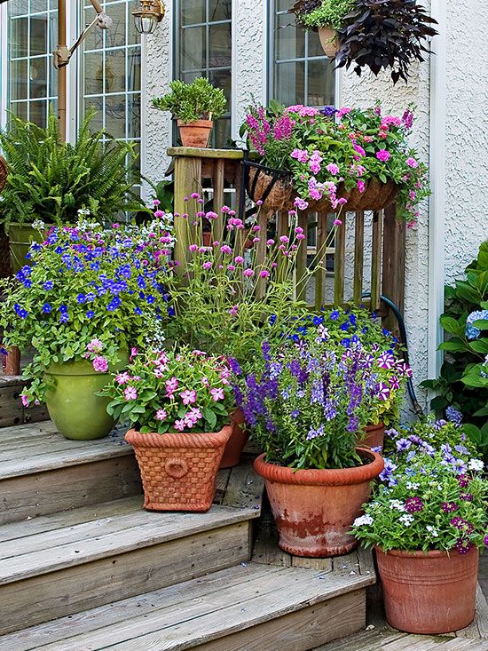 Small Space, Stunning Blooms: Expert Container Flower Design Tips
