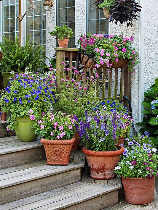 Small Space, Stunning Blooms: Expert Container Flower Design Tips