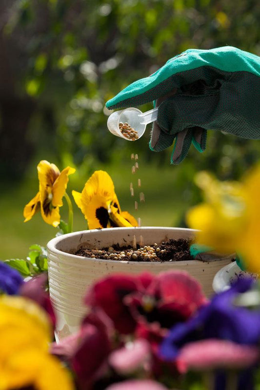 Best Fertilizer for Flowering Plants (2026): NPK, Timing, and Top Picks for More Blooms