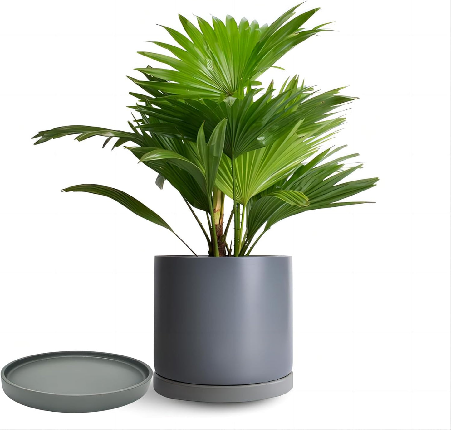 2 Pack Ceramic Plant Saucer Pot Tray 8 Inch, Planter Saucers 4 5 6 7 8 9 10 11 12 13 Inch for Indoors Outdoor, Durable Sturdy Flower Drainage drip Water Tray for Glazed Pots Base (8.5 Inch-Grey)