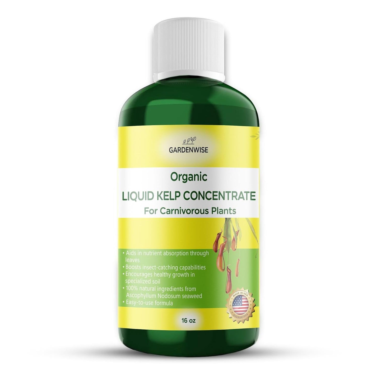 Organic Premium Kelp Seaweed Fertilizer: Indoor Plant Fertilizer & Carnivorous Plant Food for Venus Flytraps, Sundews, Drosera Capensis,Pitcher Plants,Butterworts & Other (16 OZ)