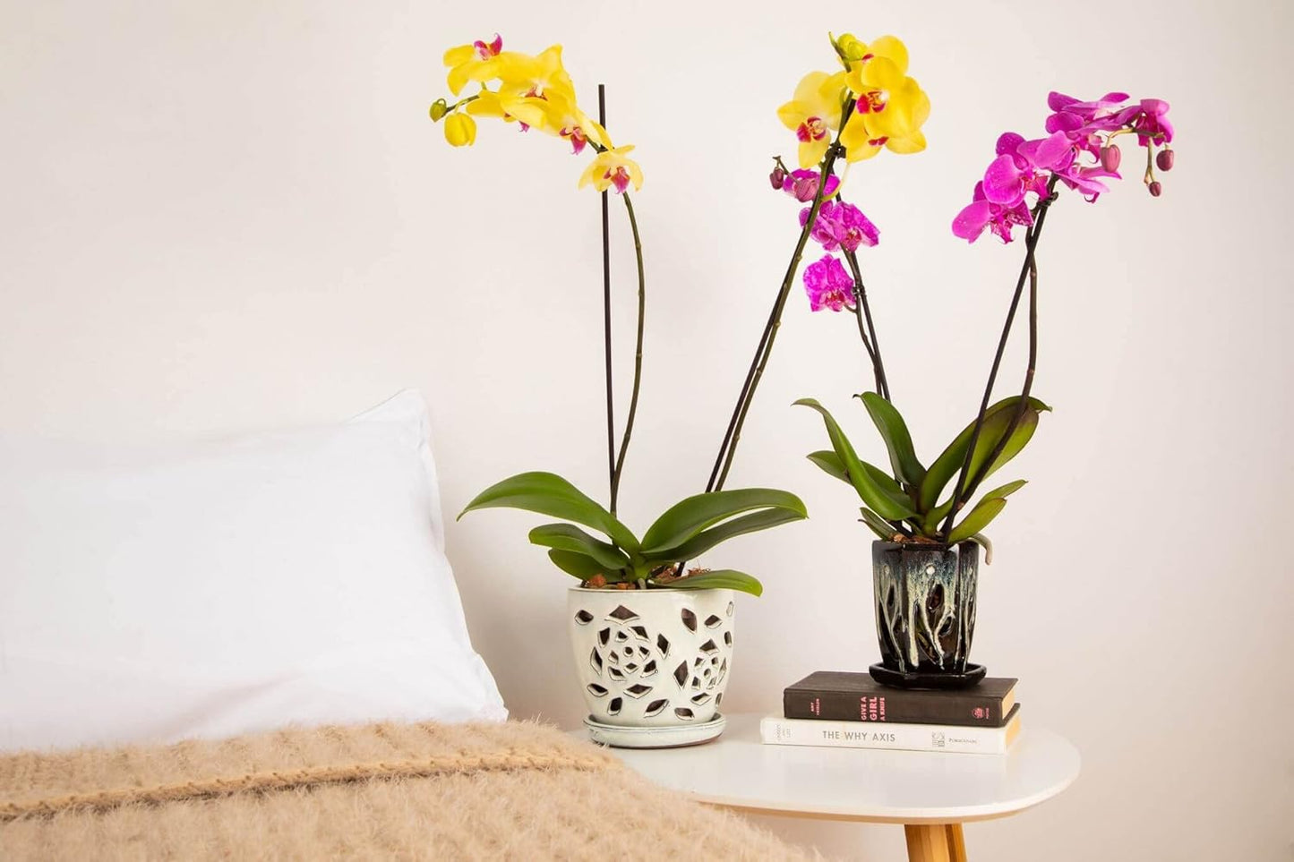 rePotme Orchid Pot - 5 inch Floral Cutout Ceramic Orchid Pot with Holes (Cream Over Garnet) - Includes Free 5 inch Slotted Pot Liner