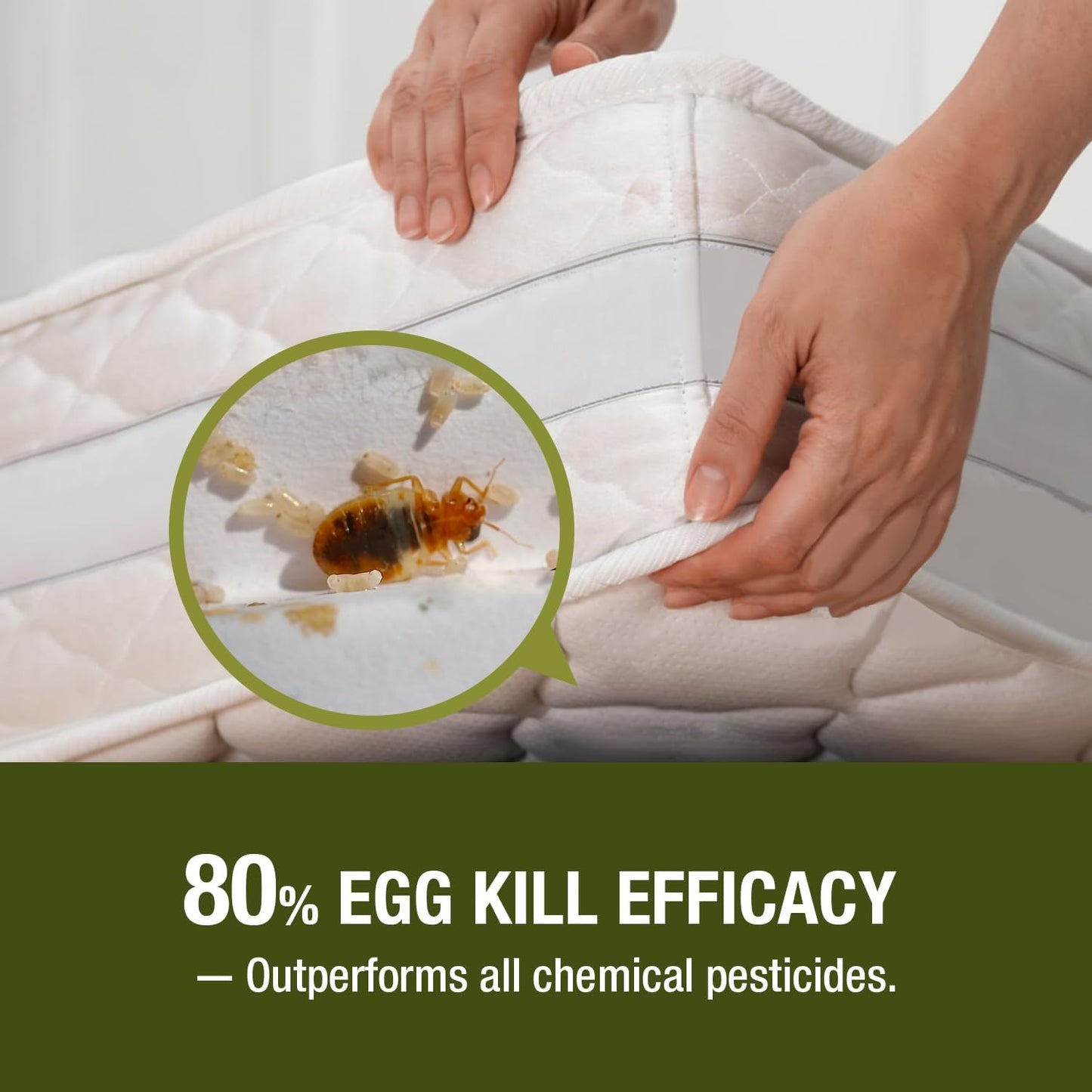 EcoVenger Bed Bug Killer (480ML) 100% Kill Efficacy−Kills All Stages on Contact-14 Day Residual Protection− Eco-Friendly & Non-Toxic Child & Pet Friendly