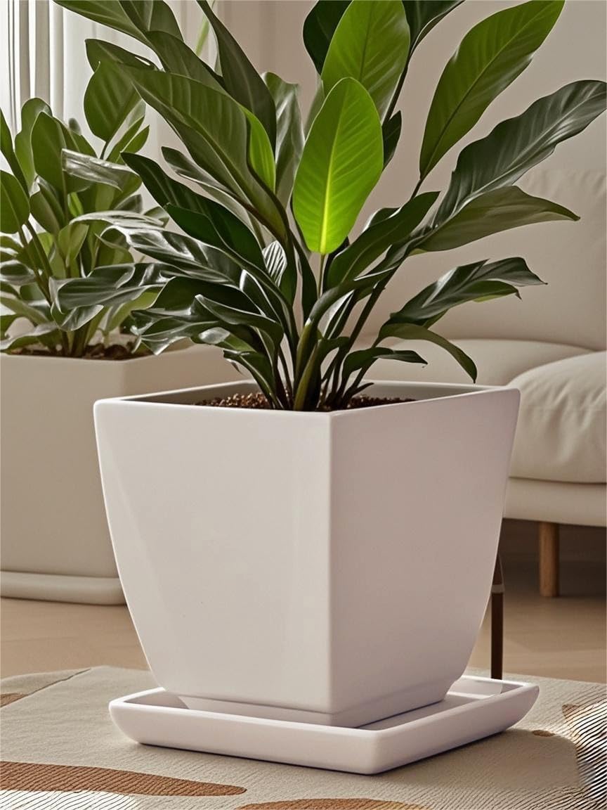 Square Plant Saucer 14 Inch 1 Pack，Plant Trays for Pots, White Ceramic Plant Saucers for Indoors Outdoors, Plant Drip Tray 4 6 8 10 12 14 Inch