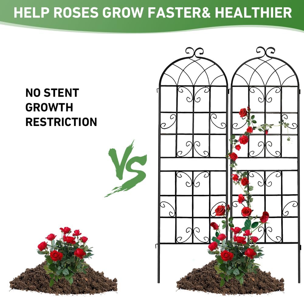 4 Pack 72x20in Rustic Iron Arch Decoration Garden Trellis with Black Metal Coating – Perfect for Supporting Climbing Plants Outdoor, Roses, Vines, Flowers, and Vegetables.