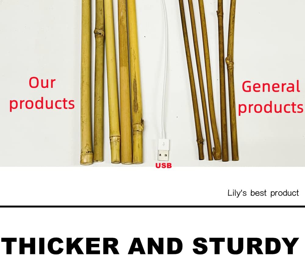50 Pack 5ft Bamboo Plant Stakes for Wood Garden Sticks，Wooden Plant Supports，Bamboos，Bamboo Trellis，Crafts, More Size Choices 8"/12"/16"//2'/3'/4'/5'/6'