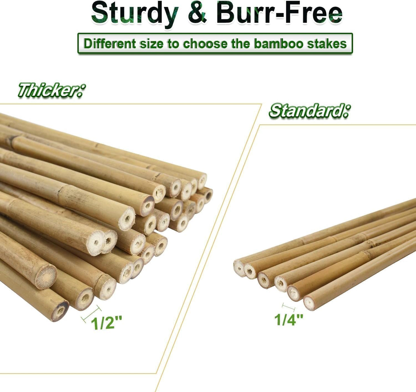 3/10" D 2 Feet Bamboo Stakes 50 Pack, Thicker Heavy-Duty Plant Stakes, Natural Garden Stakes for Bean, Tomato, Bean, Flowers,Trees Potted and Climbing Plant Support