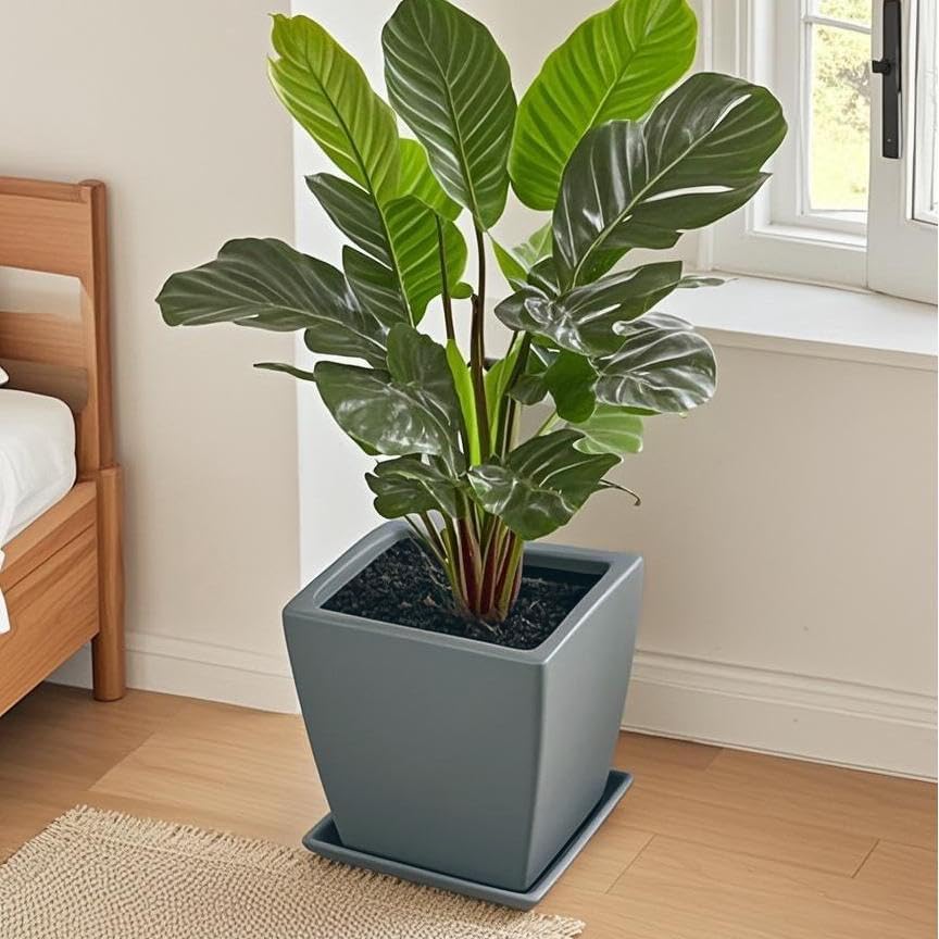 Square Plant Saucer 14 Inch 1 Pack，Plant Trays for Pots, Gray Ceramic Plant Saucers for Indoors Outdoors, Plant Drip Tray 4 6 8 10 12 14 Inch