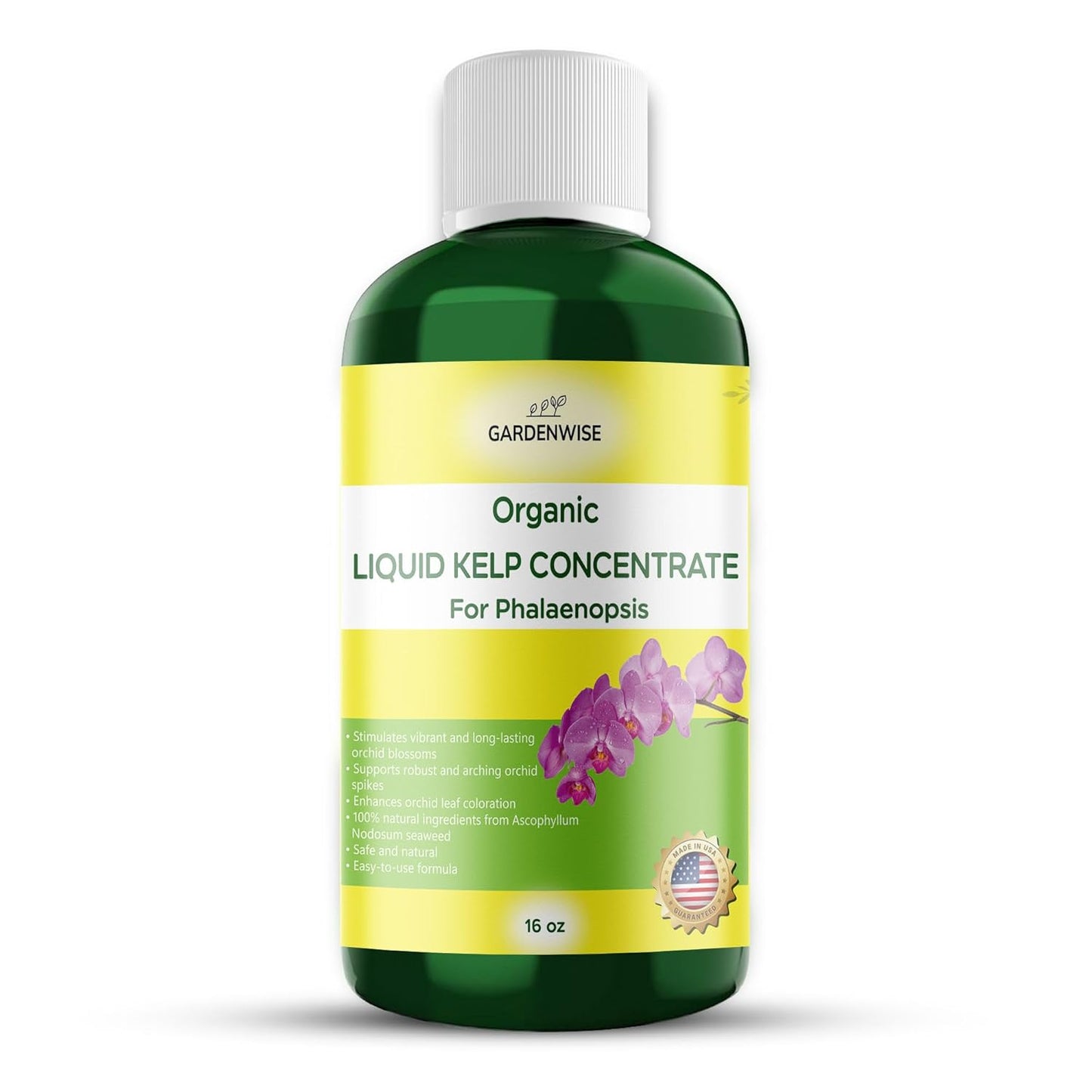 Organic Premium Kelp Seaweed Concentrate: Fertilizer for Phalaenopsis Orchids – Liquid Plant Fertilizer – Orchid Bloom Booster – Seaweed Extract for Plants (16 OZ)