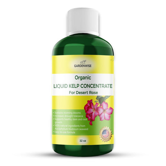 Liquid Kelp Fertilizer for Desert Rose - Plant Food for Adenium & Desert Plants - Organic Seaweed Fertilizer for Robust Growth and Blooms (32 OZ)