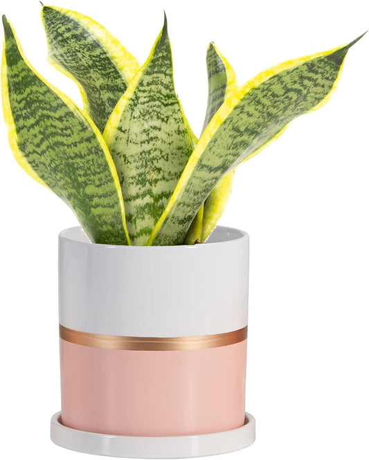 Ekirlin 6 inch Plant Pot - Ceramic Flower Planters Indoor - Modern Succulents Containers with Drain Hole Saucer, Decorate Home, Office & Outdoor (Pink)