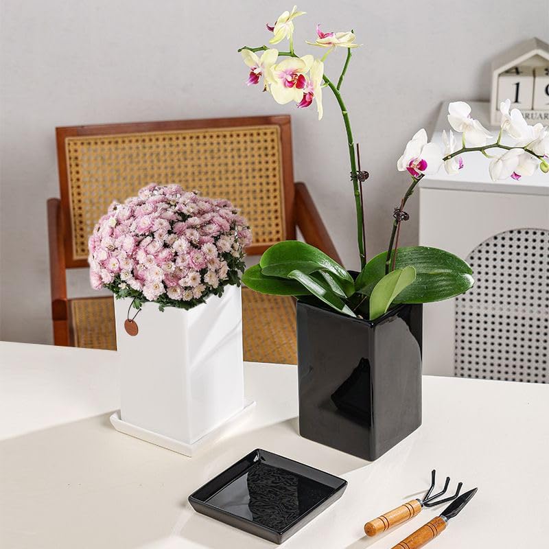 Square Plant Saucer 14 Inch 1 Pack，Plant Trays for Pots, White Ceramic Plant Saucers for Indoors Outdoors, Plant Drip Tray 4 6 8 10 12 14 Inch