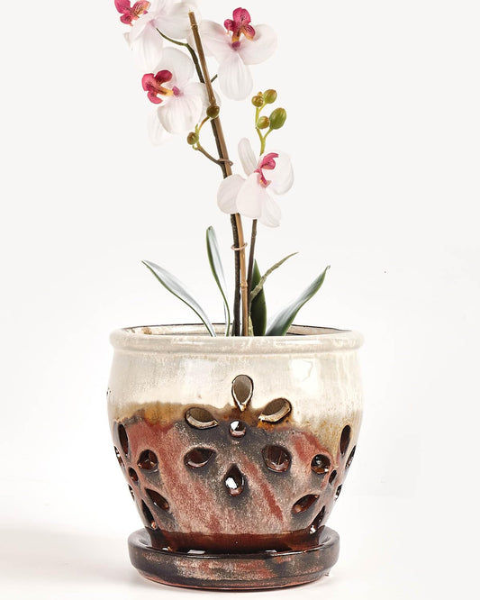 vensovo 5 Inch Ceramic Orchid Pots with Holes and Saucers - 1 Pcs Small Succulent Pot for Repotting, Garden Flowerpots for Plants Indoor and Outdoor Promotes Air Circulation, Brown Mixed