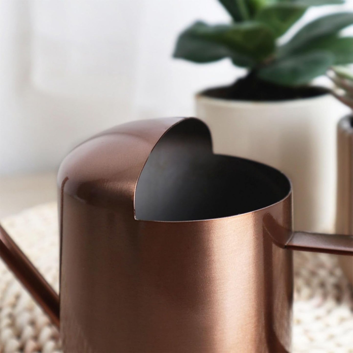 Watering Cans, 10oz/300ml Stainless Steel Long Spout Small Watering Sprinkling Pot, Indoor Outdoor Garden Flower Succulents Plant Watering Cans, Stylish Gardening Decoration(Bronze)