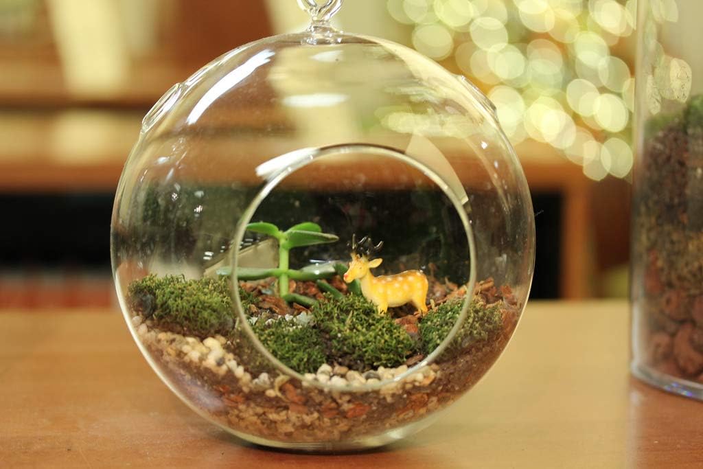 WGV Hanging Terrarium Globe, Width 7", Height 8", DIY Air Succulent Planter, Clear Glass Vase Orb with Flat Bottom, Candle Holder for Windowsill Outdoor Garden Decor, 1 Piece