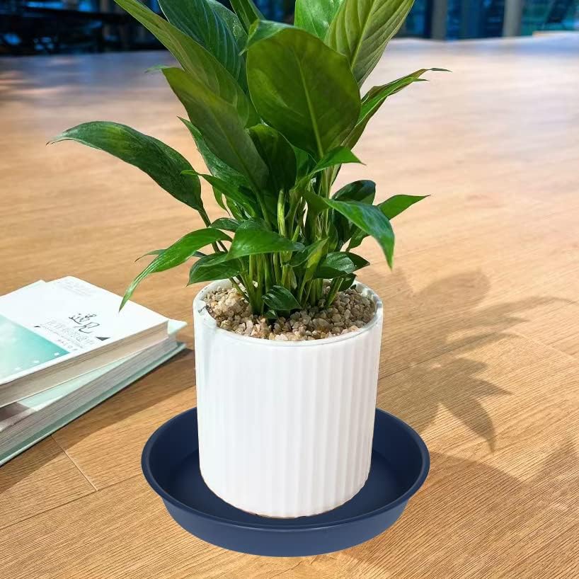 6 Pack of 12 inch Plant Saucer, Heavy Duty Plastic Plant Saucer 12" Round, Durable Plant Tray for Pots, Plant Saucers for Indoors, Plant Trays for Planter (12", Blue)