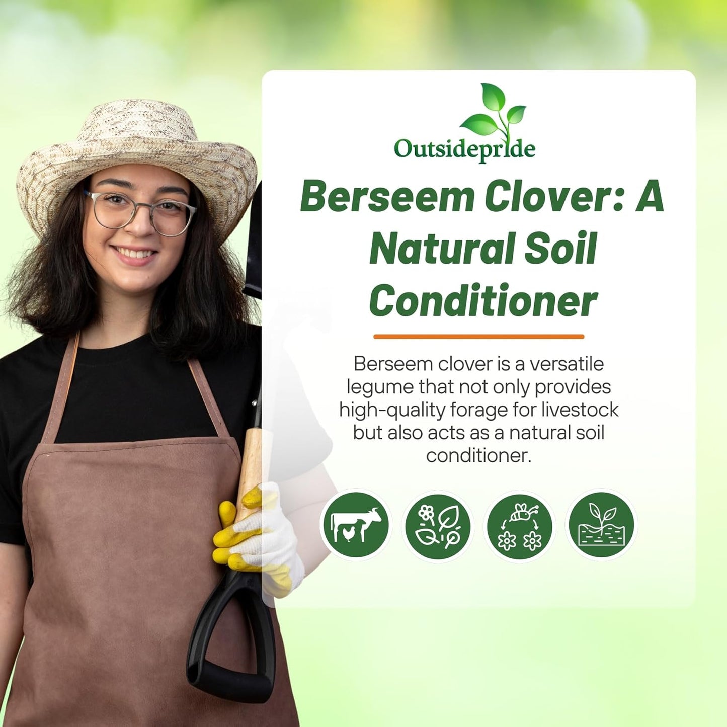 Outsidepride Annual Berseem Clover Seeds for Lawn - 10 lbs. High-Yield, Fast-Growing Clover Cover Crop Seeds for Food Plots, Cattle Forage & Nitrogen-Rich – Ideal for Pastures & Soil Improvement