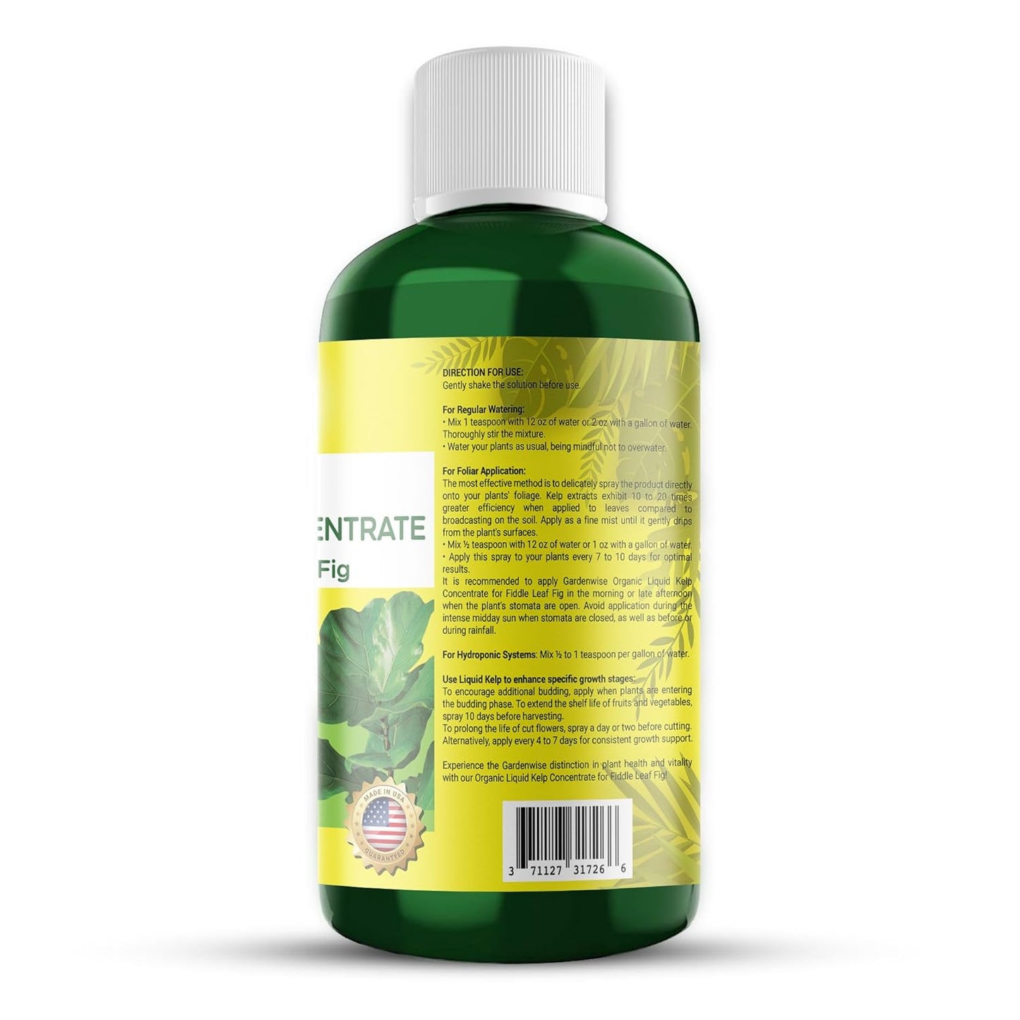 Fiddle Leaf Fig Plant Food – Liquid Seaweed Kelp Fertilizer for Plants – Made in USA (16 OZ)