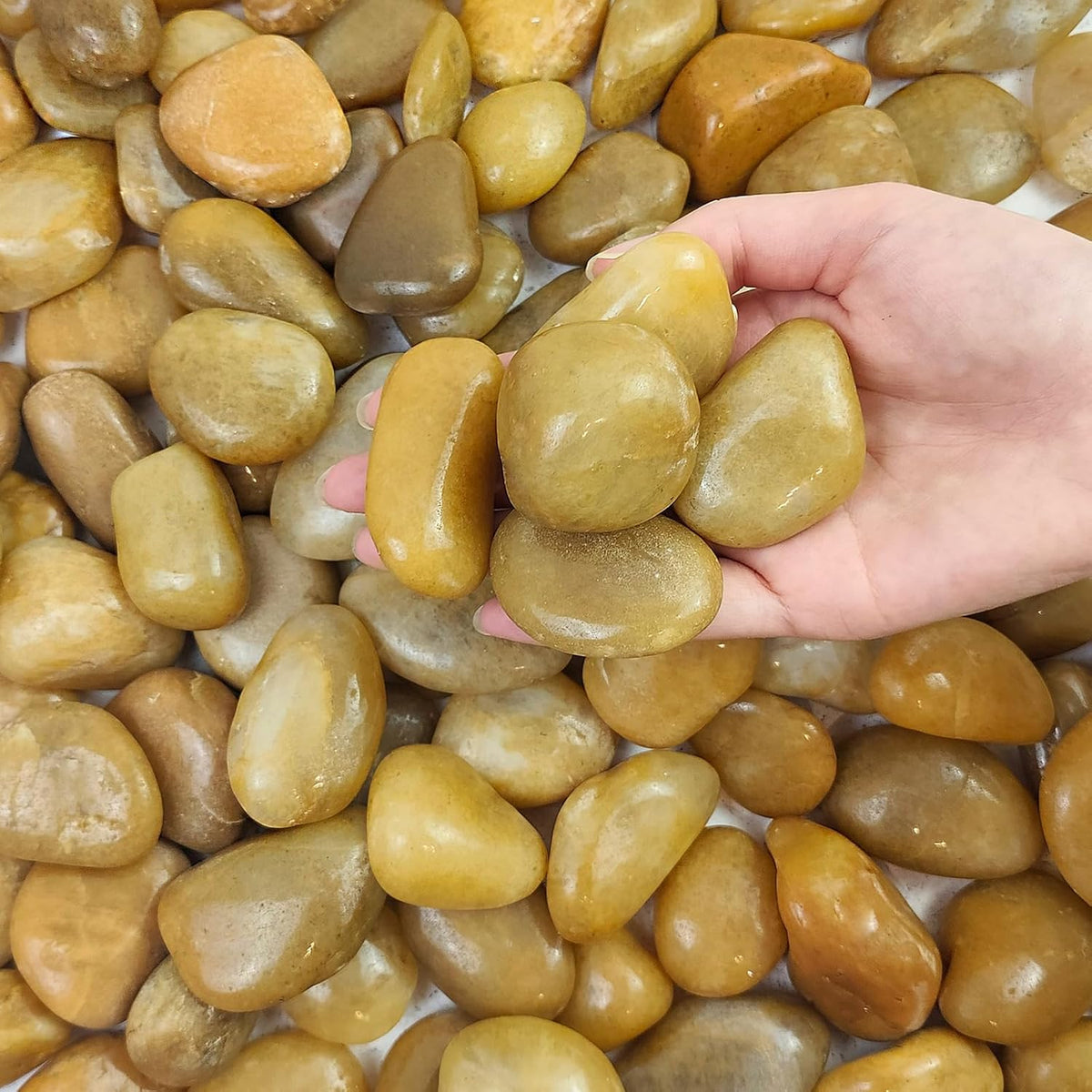 10 lbs Yellow River Rocks, 1-2 Inch Polished Pebbles for Indoor Plants, Decorative Rocks Stones for Landscaping, Vases, Aquariums, Fountains, Pathways, Backyard and Garden