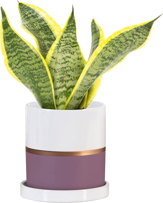 Ekirlin 4 inch Plant Pot - Ceramic Flower Planters Indoor - Modern Succulents Containers with Drain Hole Saucer, Decorate Home, Office & Outdoor (Purple)