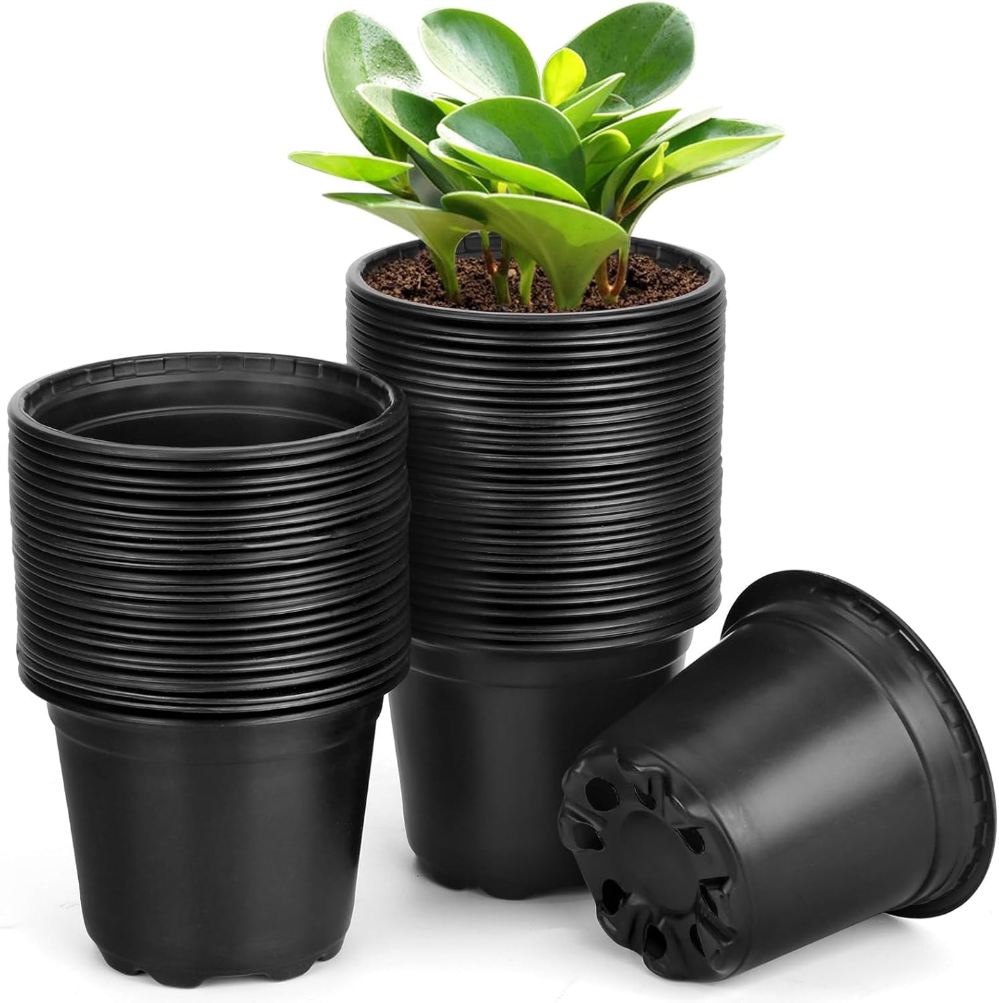 60 Pack 4 Inch Nursery Pots for Plants, Plastic Seeds Starter Pots with Drainage Holes, Small Plastic Plant Nursery Pots for Succulents Seedling Cutting Transplanting (60, 4 Inch)