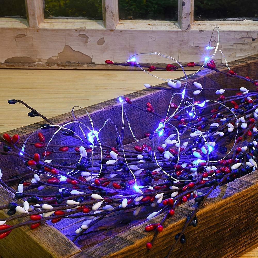 2 Pack Solar Powered Fairy String Lights Outdoor Waterproof 8 Modes Twinkle Christmas Decorations Lights, Each 33ft-100LED, 40ft-120LED, 66ft-200LED, 80ft-240LED, (Blue, 33)