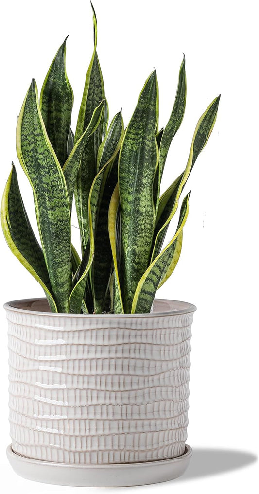8 Inch Plant Pot: Ceramic Planter with Drainage Hole & Saucer - Cream White Flowerpot for Indoor & Outdoor Plants - with Separate Tray for Home & Office - Wave Embossed Design
