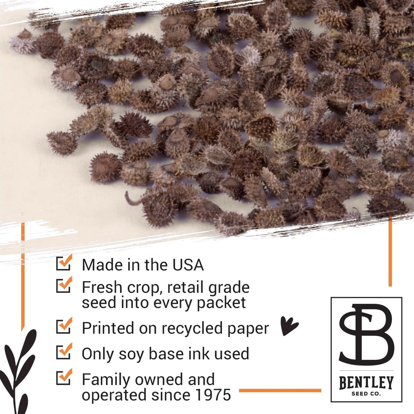 Bentley Seed Co. Thank You Packet - Help Us Grow Forget Me Not - 25 Seed Packets - Perfect Eco-Friendly Thank You Gift - Non GMO Seeds, Blue