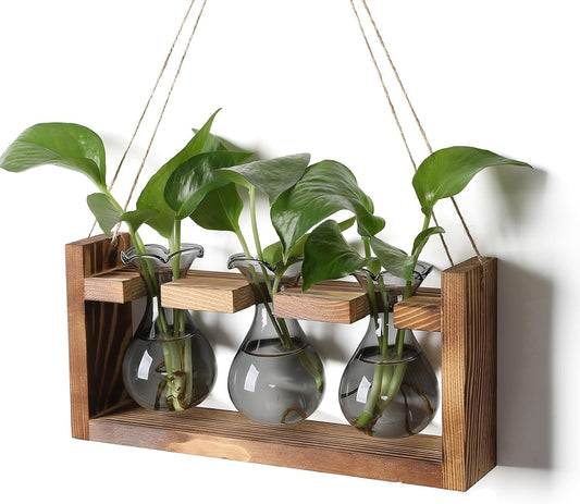 Plant Propagation Station Plant Terrarium Unique Birthday Gifts for Women Plant Lovers Home Office Decor Planter with Wooden Stand - 3 Bulb Glass Vase