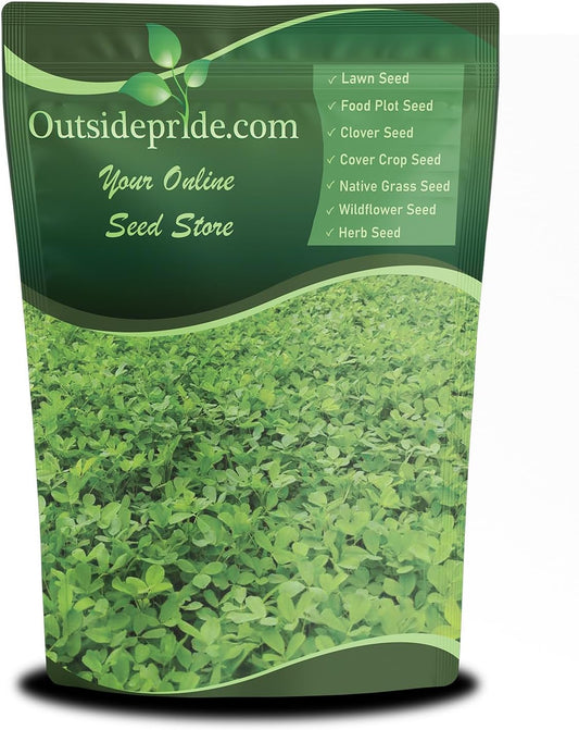 Outsidepride Annual Berseem Clover Seeds for Lawn - 10 lbs. High-Yield, Fast-Growing Clover Cover Crop Seeds for Food Plots, Cattle Forage & Nitrogen-Rich – Ideal for Pastures & Soil Improvement