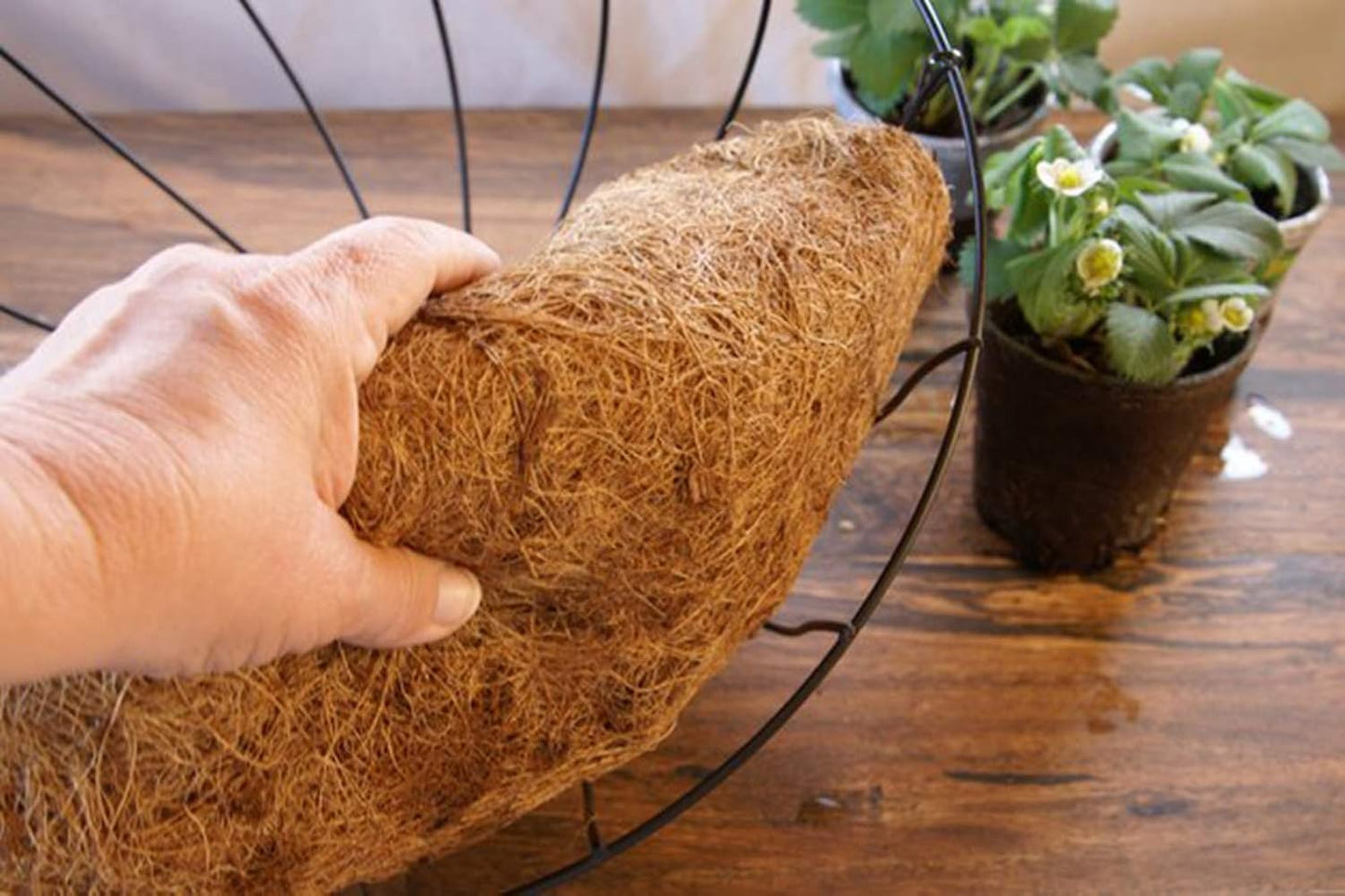 2PCS Half Round Replacement Coco Liner for Hanging Basket Wall Flower Basket, 12 inch, Half Circle Wall Planter Coconut Fiber Plant Basket Liner for Garden Planter Flower Pot (12 inch)