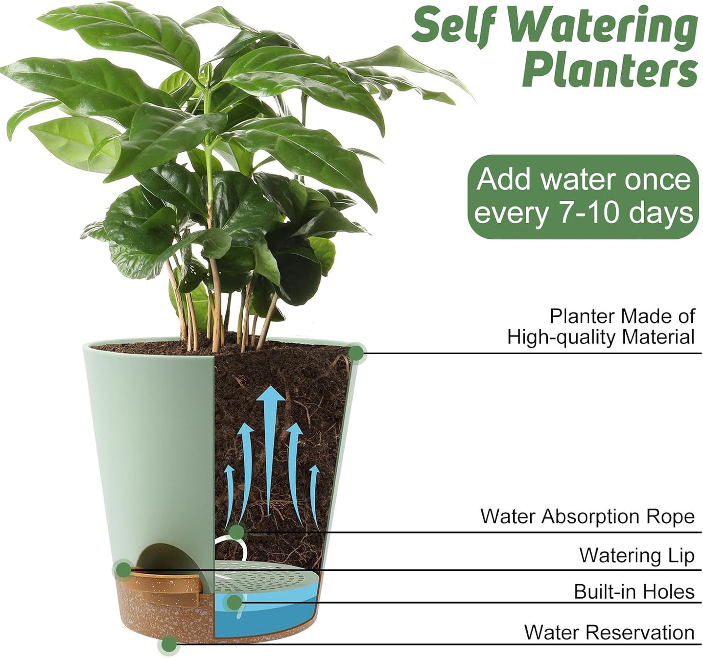 8-Inch Plant Pots, Self-Watering Planters with Drainage Holes & Saucers for Indoor and Outdoor Plants (2-Pack, Green)