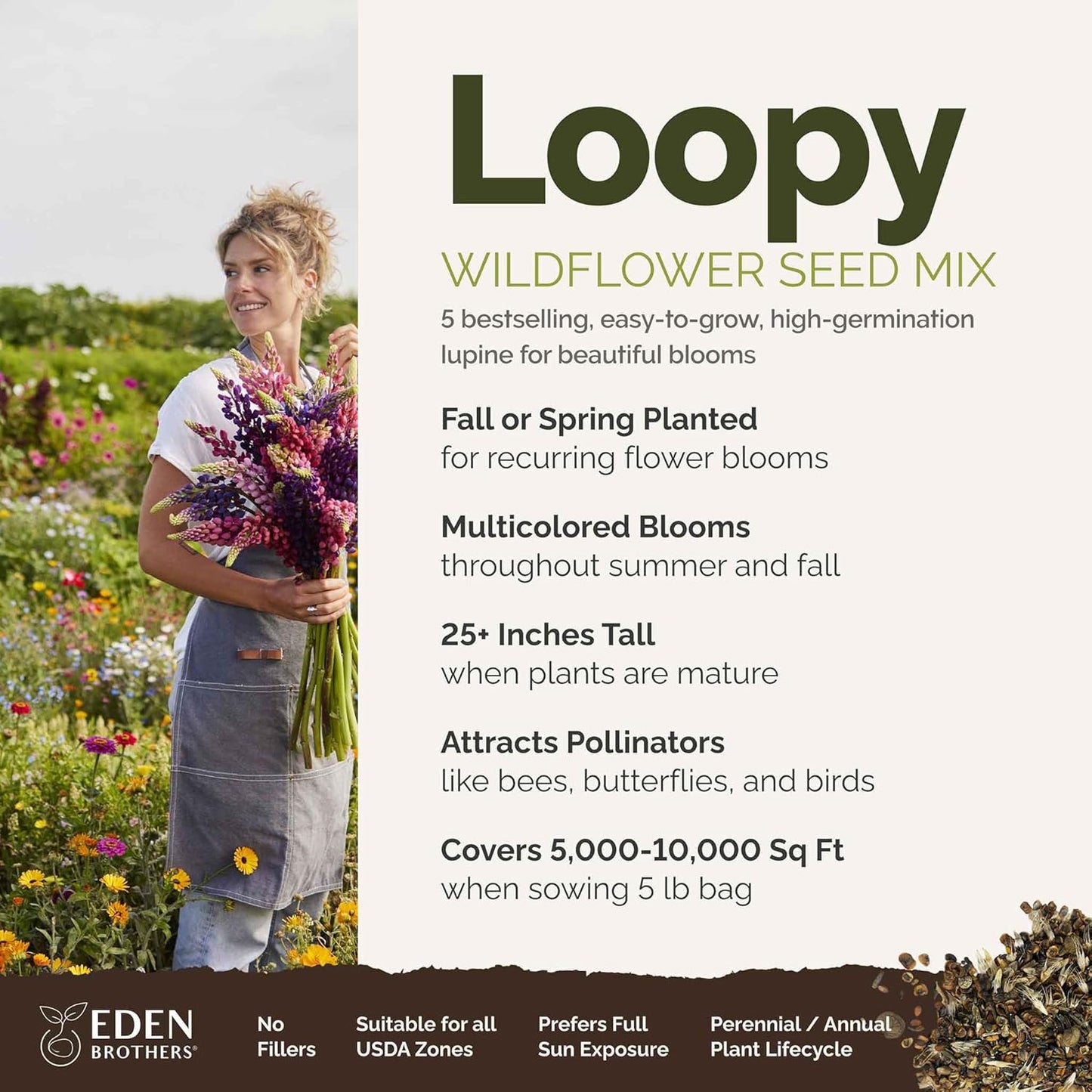 Eden Brothers Lupine Flower Mixed Seeds for Planting, 5 lb, 2,400,000+ Seeds with Russell, Arroyo, Yellow, Sky Lupine | Attracts Pollinators, Plant in Spring or Fall, Zones 3, 4, 5, 6, 7, 8, 9, 10