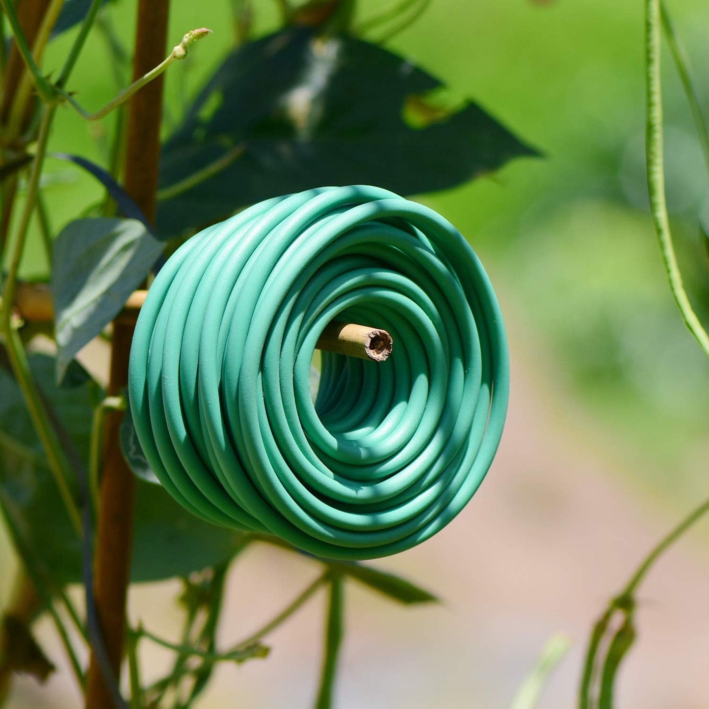 YDSL Soft Plant Tie, Garden Wire Tie for Plants Heavy Duty Reusable Plant Twist Ties for Gardening Home Office (Green, 32.8 feet)