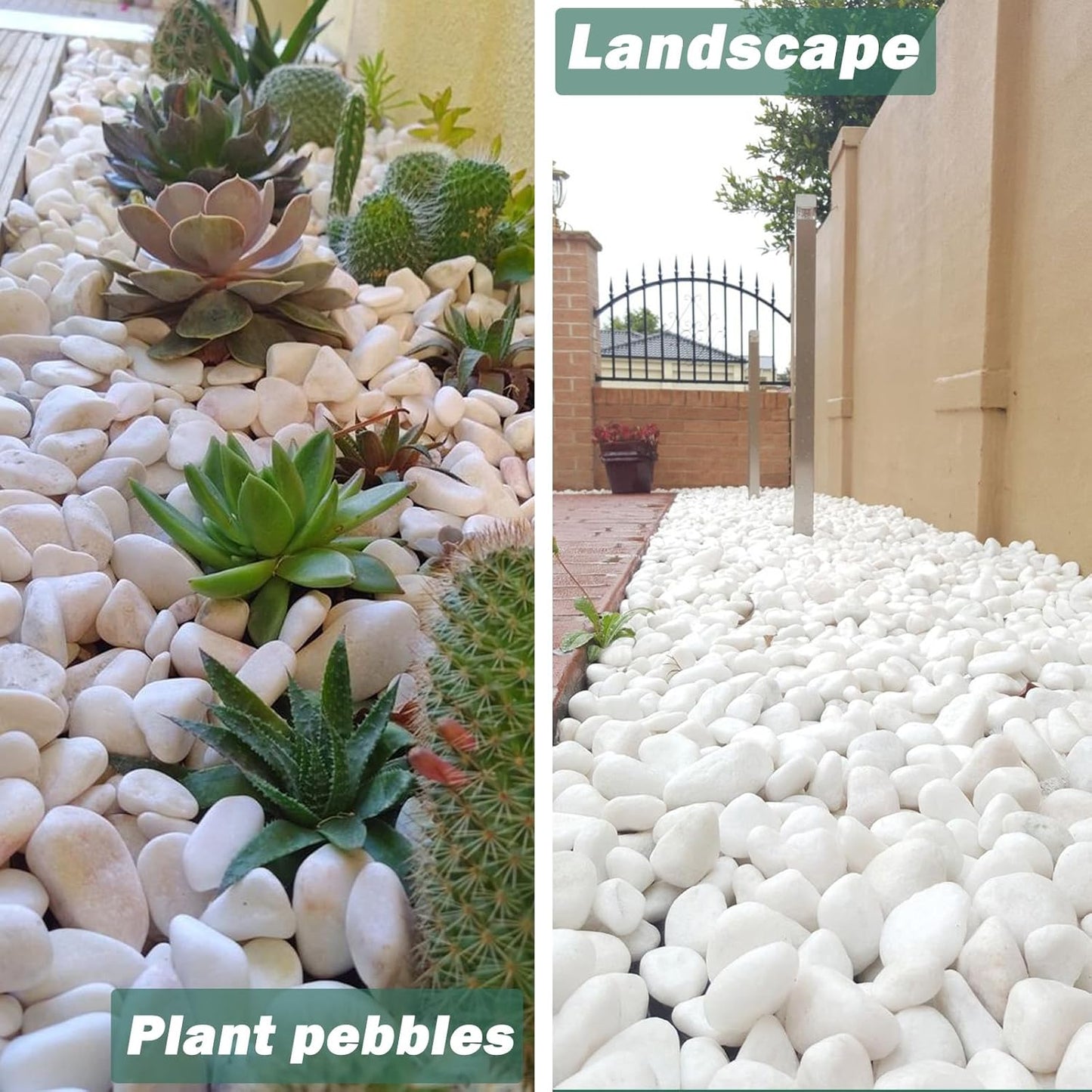 18.7 Lbs Natural River Rocks for Plants 1.6"-2.5" Small White Landscaping Garden Stones White Aquarium Gravel for Decorative Pebbles for Indoor Outdoor Planters