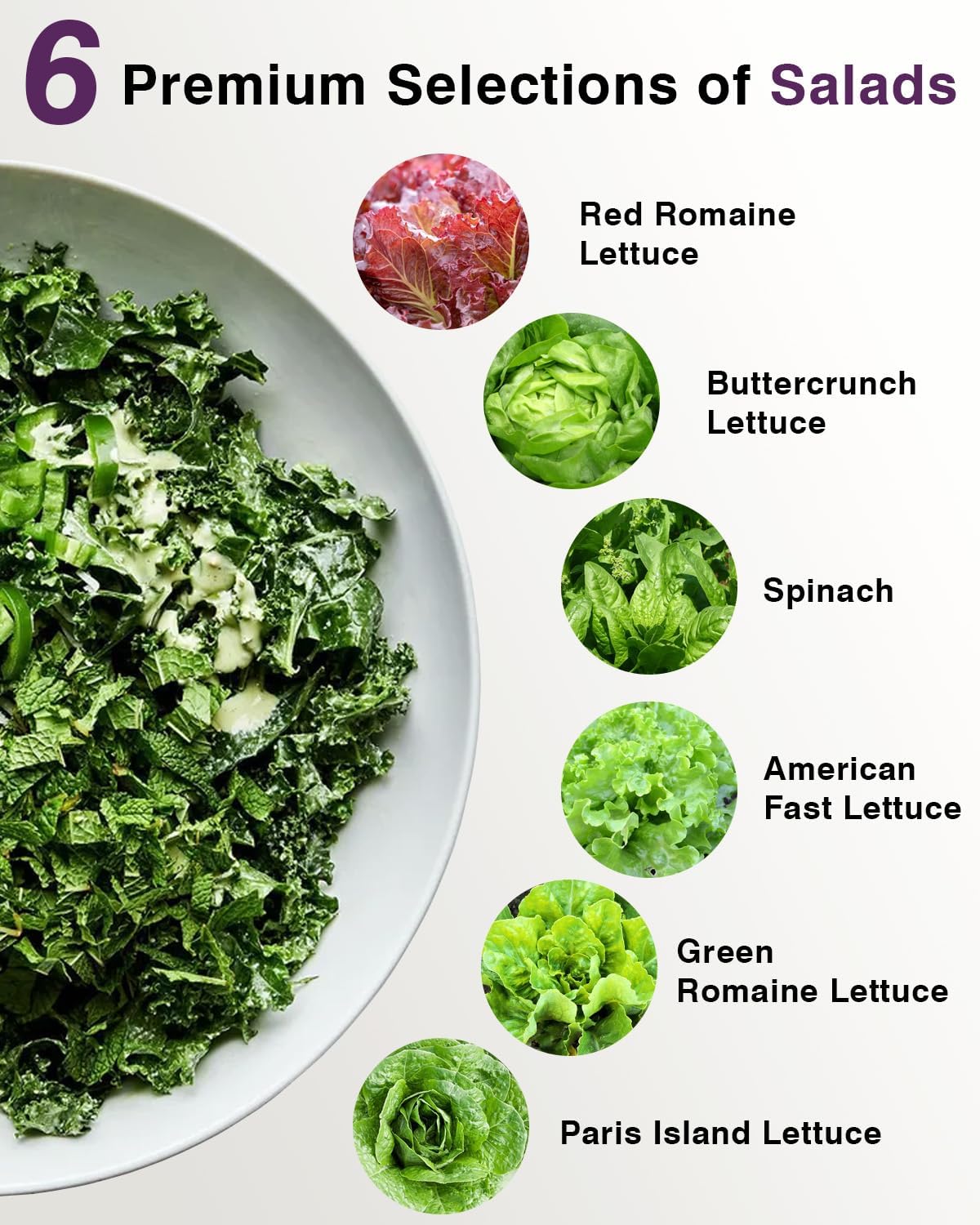 Salad Greens Seed Pod Kit for AeroGarden, iDoo with Red and Green Leaf, Romaine and American Fast, Buttercrunch, Parris Island Lettuce, Spinach - Compatible with All Hydroponics (12-Pod)